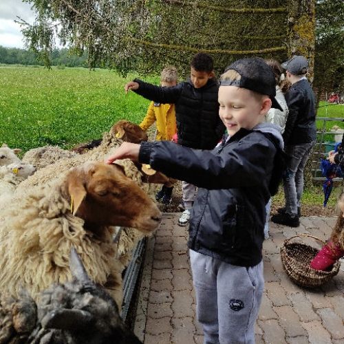 Edukacinė išvyka į Milišiūnų avių ūkį