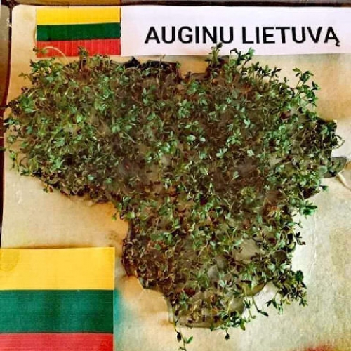 Auginu Lietuvą!